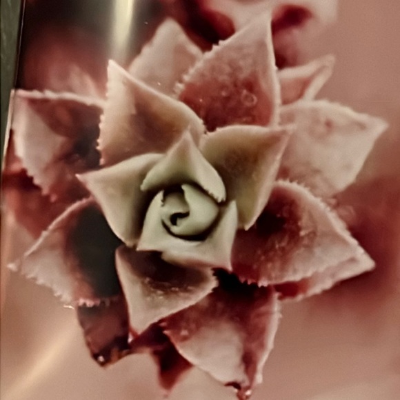 “Collect beautiful memories” metallic on succulent pattern glass tray/gold back - Picture 3 of 5